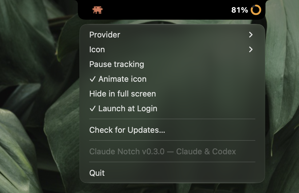 Right-click menu: provider, icon, rotate providers, pause, hide in full screen, launch at login, updates
